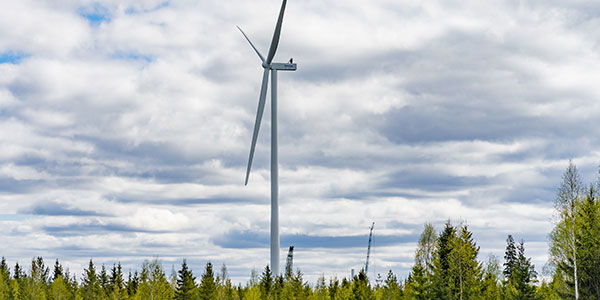 artikkelikuva: Tuulivoima energiatransition keskiössä – pankkirahoittajan näkökulma