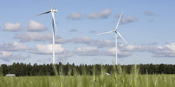 artikkelikuva: Tuulivoima vauhdittaa vihreää siirtymää