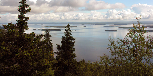 artikkelikuva: Vetyvyöry on täällä