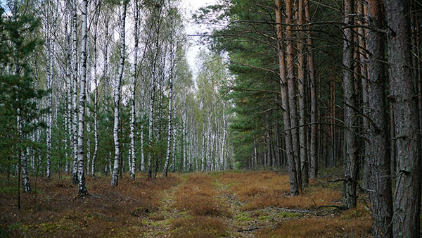 artikkelikuva: Käyttöä ja aikaa kestäviä kalusteita