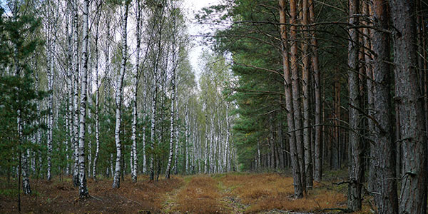 artikkelikuva: Käyttöä ja aikaa kestäviä kalusteita