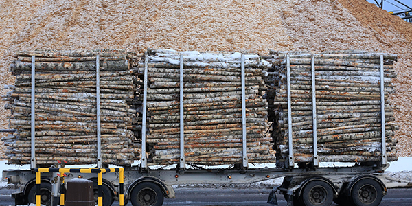 artikkelikuva: Bioenergian kestävyys on liikkuva maalitaulu